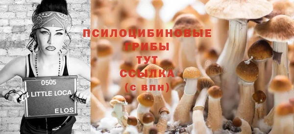 СК Арсеньев