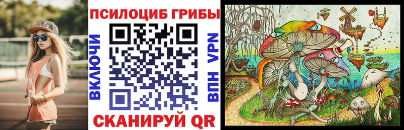 Галлюциногенные грибы Psilocybine cubensis  купить   Камышлов 